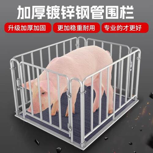 养殖场专用围栏1吨3吨牛猪牛羊高精度配送防抖电子称小型地磅秤