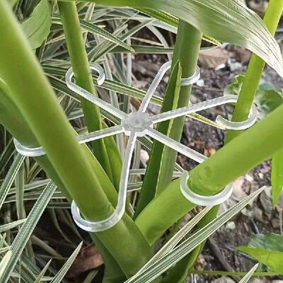 4 Plastic Plant Support Clips, Transparent Green Vine