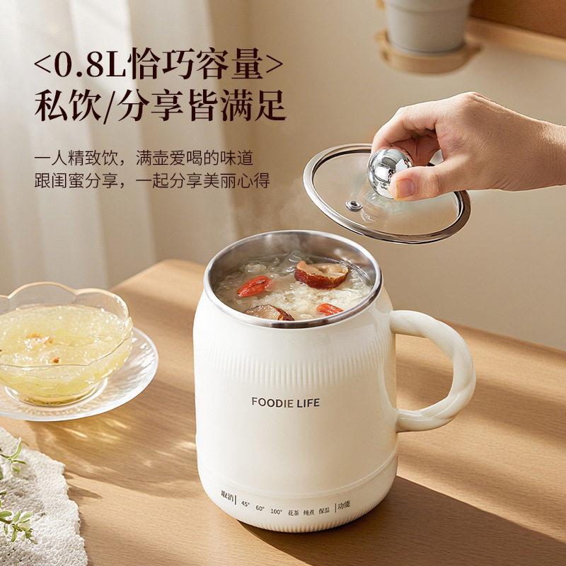 德国进口电热水杯旅行便携式烧水杯子不锈钢一体家用多功能电炖杯