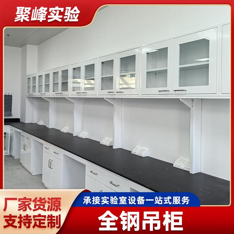 试验台全钢吊架桌子操作台立柜全木实验柜墙柜实验台带吊柜收纳墙