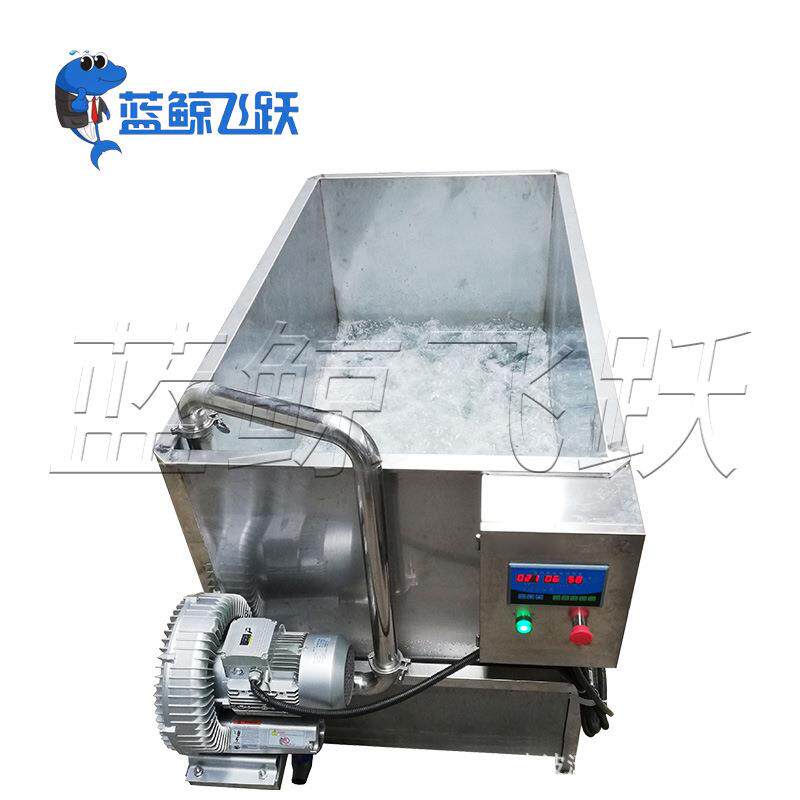 鼓泡清洗机食品加工塑料件玻璃制品高压冲洗机器蔬菜水果清洗机