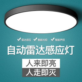 led吸顶灯过道走廊灯具楼梯间，入户玄关声控灯，雷达人体感应灯