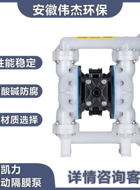 Skylink气动隔膜泵PS系列塑料泵耐化学腐蚀高粘度输送化工