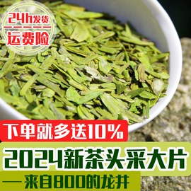 2024年新茶明前头采大佛龙井大碎茶片绿茶叶茶农散装高碎