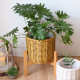 家用客厅落地式 饰花篮盆仿绿工大办公室简约北欧藤植民宿手花盆 装
