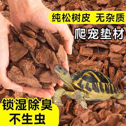 德国爬行动物宠物垫乌龟爬行动物箱松皮乌龟蜥蜴壁虎园林绿化表面