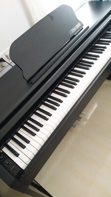 如何评价TheONE和卡西欧电钢琴比，应该选择谁呢？