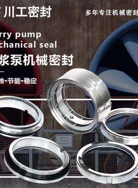 渣浆泵机封MN206-85IJ300-250-400PK机械密封型号图