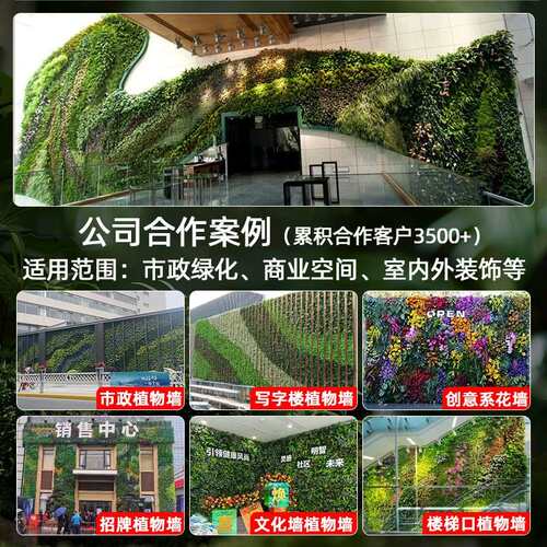 绿植墙DJ01068仿人真植物墙室阳塑料内装饰背景户外绿台化造墙仿