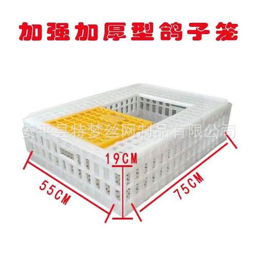 鸽鸡运输笼塑料鸽兔运输笼鸡鸭鸽兔周转箱鸽笼鸽具