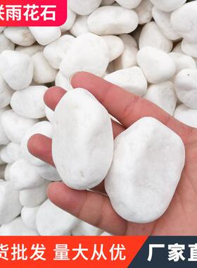 雪花白 白色鹅卵石 园林铺路机制 鱼缸造景园艺多肉盆栽雨花石头