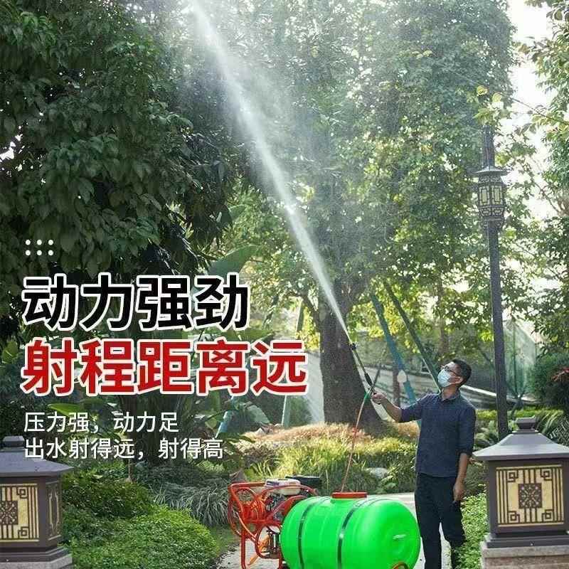 汽油手推式果园打药机 汽油宗申打药机 农业园林汽油柴油打药机
