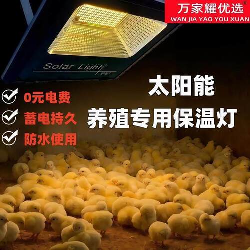 太阳能加温灯小鸡育雏保温灯养殖场专用芦丁鸡猪场宠物加热取暖灯