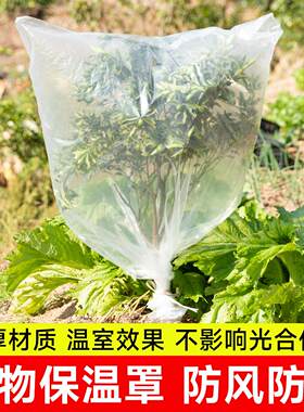 植物防寒罩透明果树过冬防冻防雨树木保护罩防尘袋花卉盆栽保温膜