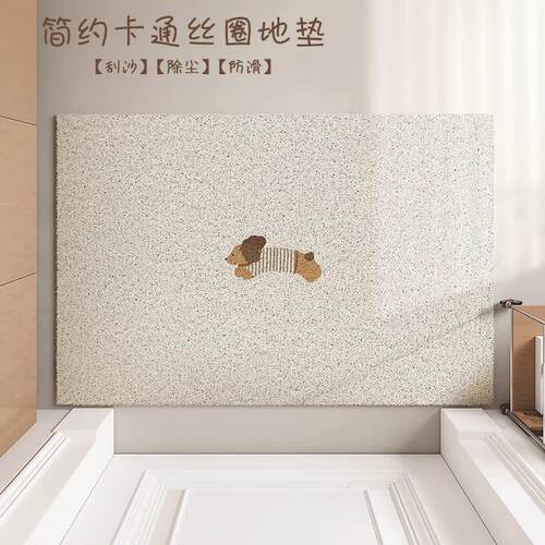 纯色极简风入户门丝圈地垫门厅玄关门口家用脚垫子耐脏防滑垫地毯