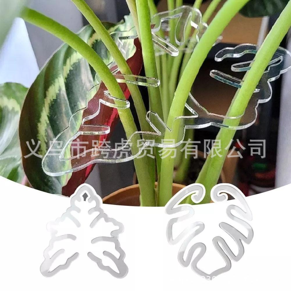 TurtleBambooShell花茎固定其它