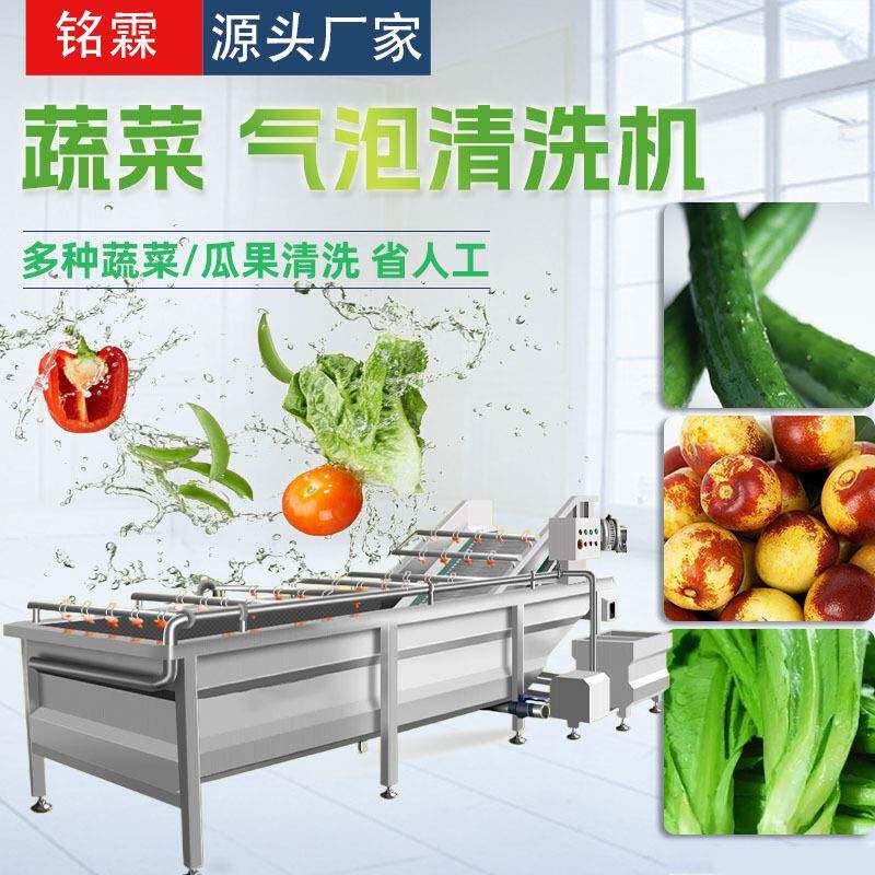 黄瓜冬枣清洗机不锈钢净菜加工清洗机果蔬油麦菜清洗机设备