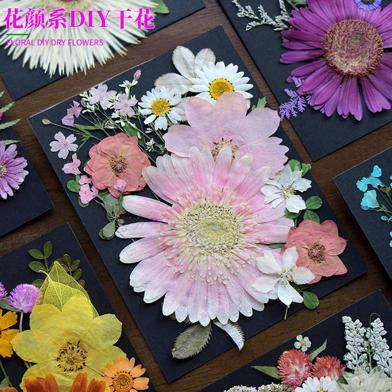 干花压花装饰植物标本画花瓣材料包手工diy相框滴胶押花台灯花材