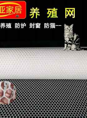 加厚塑料网格胶网阳台防护网猫咪网拦网隔离网养鸡养鸭网格围栏网