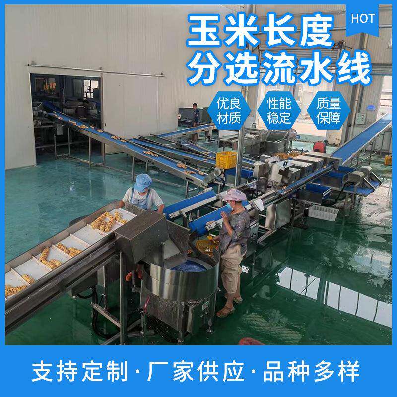 玉米长检测分选设备自动化多通道长度分机度苞谷重拣量分级机
