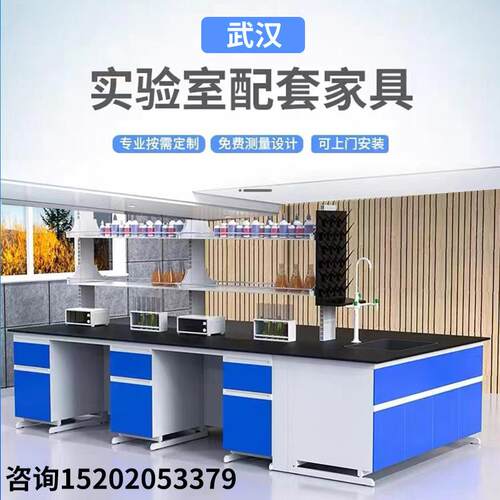 武汉实验台工作台防腐试验桌钢木中央台边台通风橱柜化验室天平台
