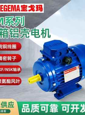 能电机BN63B4B14-0.18W三相交流马达6极立式380V微型