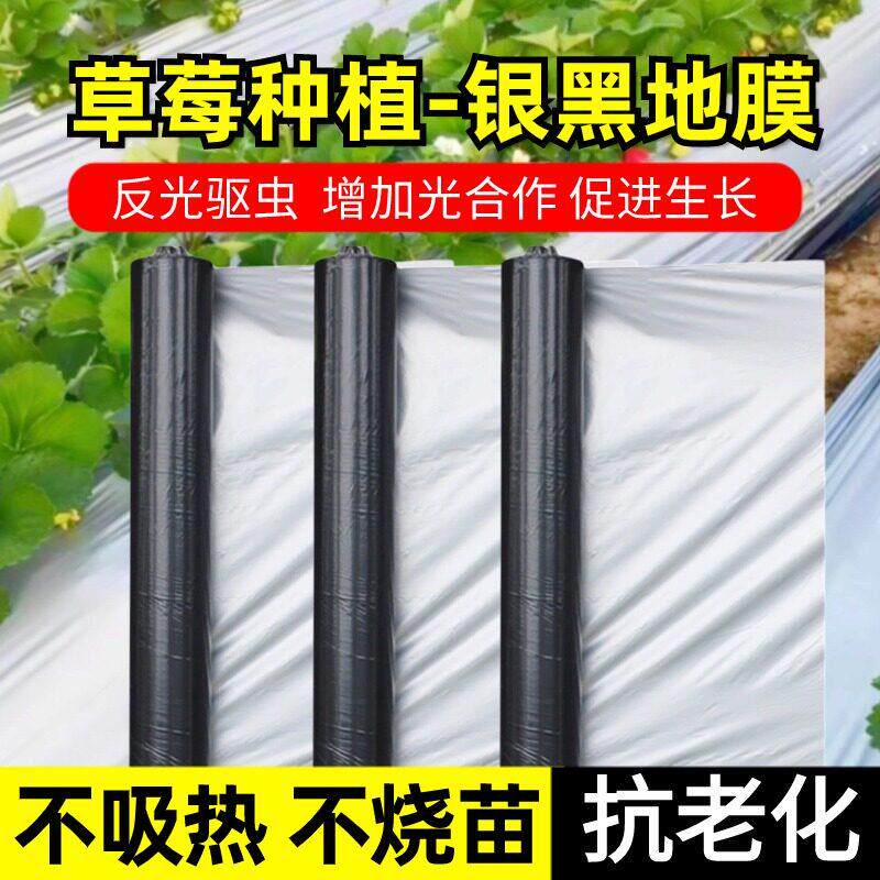 加厚农用银黑双色地膜大棚果园塑料薄膜果树上色保温保湿增温除草