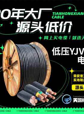工程专用紫铜线低压电力铠装电缆YJV223*95+2*50现货