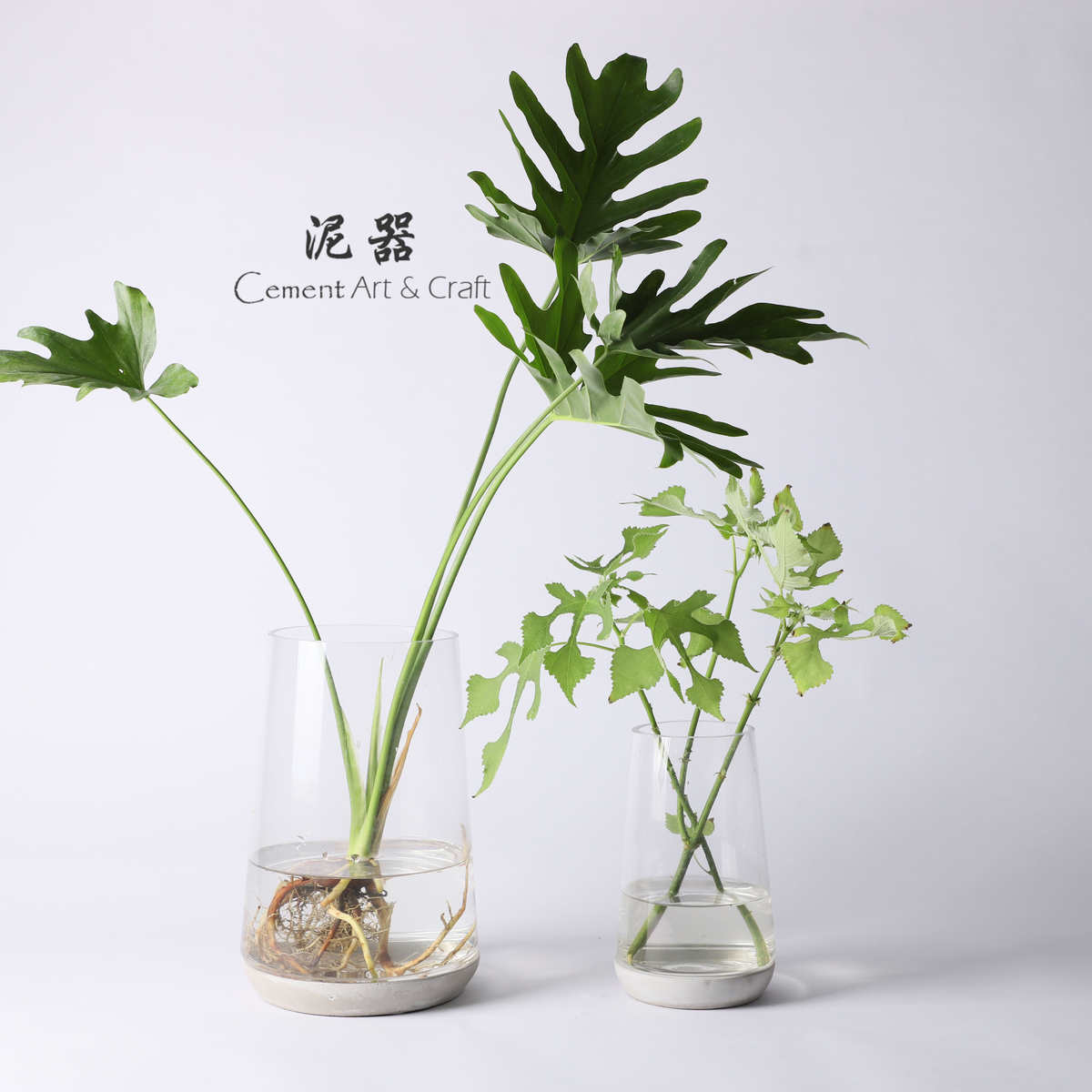 泥器空气凤梨创意生态玻璃花瓶水泥底座苔藓微景观水培花盆摆件