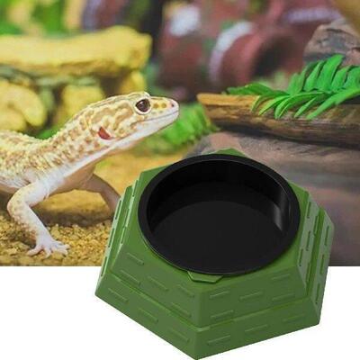 Reptile Maze Feeding Bowl Multipurpose Convenient Wear
