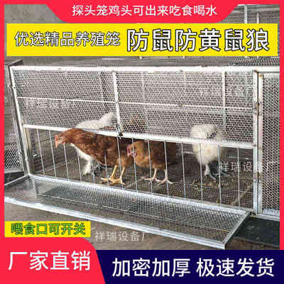 家用专用室外防大号笼子兔特大鸡养鸭鹅加密养殖加厚黄鼠狼户外