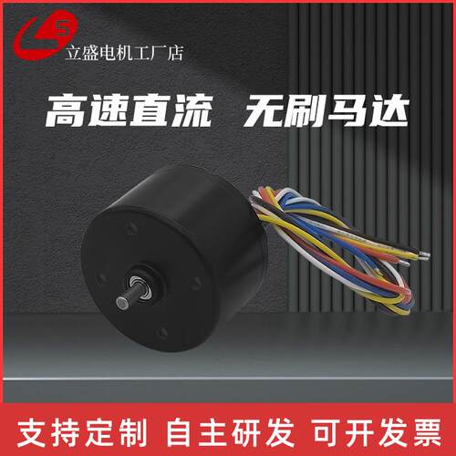 立盛3625BLDC微型直流无刷调速马达小型高速马达12v24v长寿命