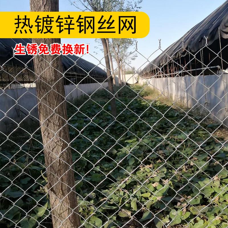 热镀锌钢丝网养殖花围栏勾网果园菱形丝网猪牛栅羊栏圈地铁护栏网