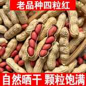 20美味红皮花生米生新货5斤装 四粒红原味带壳生花生农家自种花生
