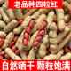 20美味红皮花生米生新货5斤装 四粒红原味带壳生花生农家自种花生
