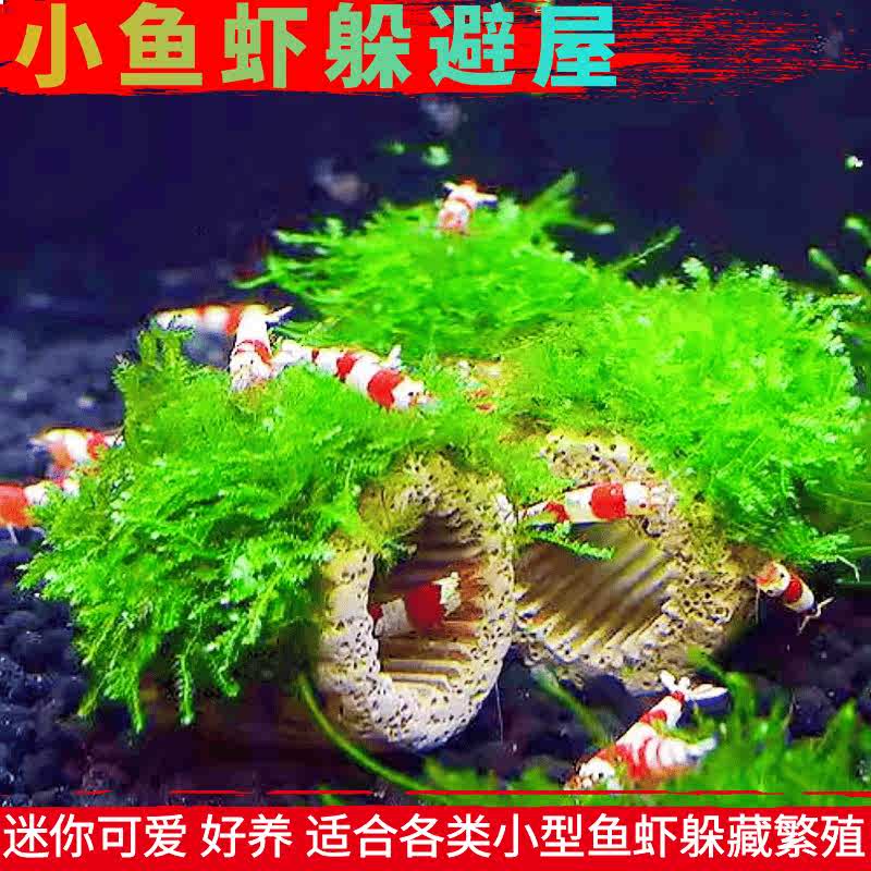 天然陶瓷罐虾屋观赏鱼繁殖躲避罐蜘蛛乌龟爬虫螃蟹躲藏洞鱼缸造景