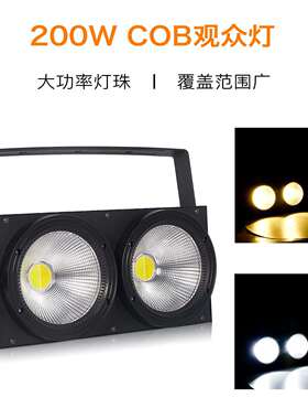 面光灯2x100W观众灯COB两眼LED灯影视演出补光灯爆闪灯婚庆舞台灯