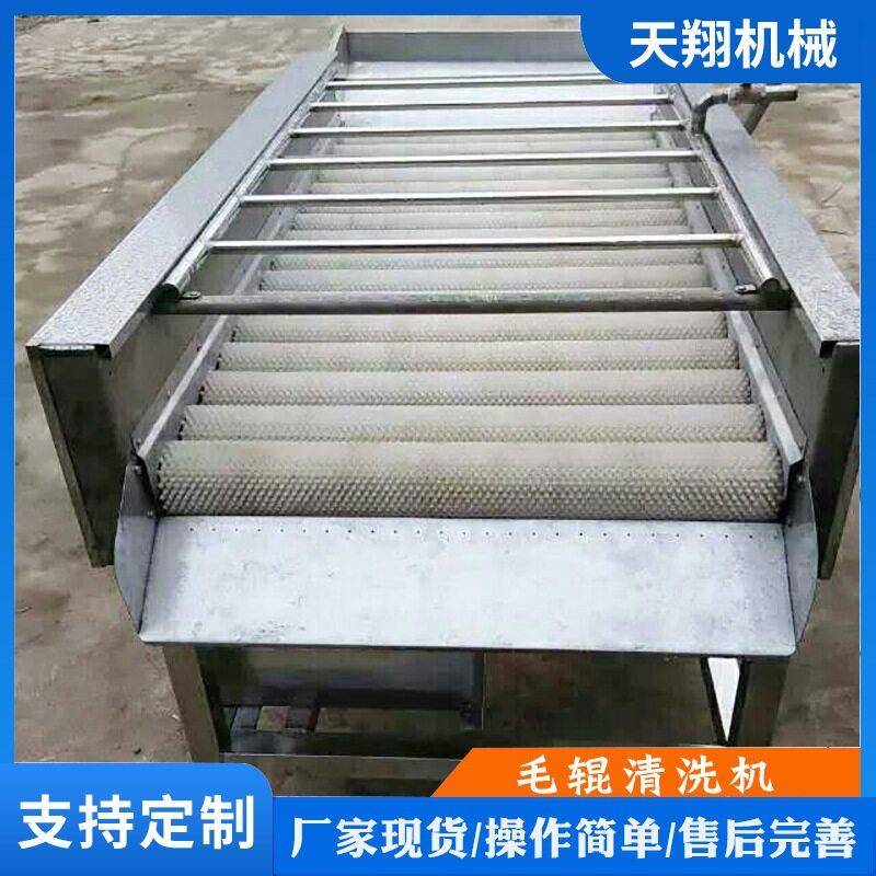 蛤利扇贝毛辊清洗机土豆红薯清洗设备山萝卜毛辊清洗机