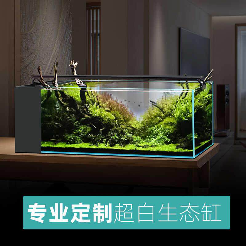 定制尺寸生态超白鱼缸溪流缸南美缸三湖缸侧滤背滤底滤上滤缸