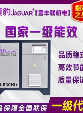 空压机15KW/20HP永磁变频螺杆式空气压缩机ZLS-30HI+