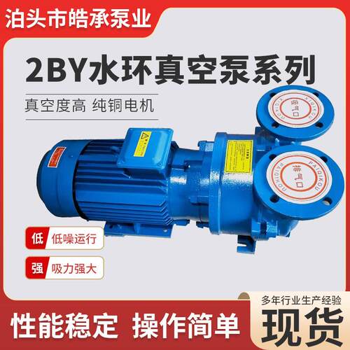 2BY系列水环式真空泵铸铁不锈钢材质可配备防爆电机防爆认证抽水