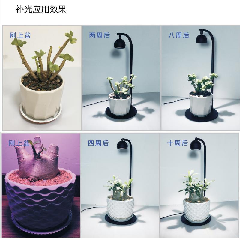 LED植物生长灯微景观灯竹板灯木板灯鱼缸灯苔藓灯多肉植物补光灯
