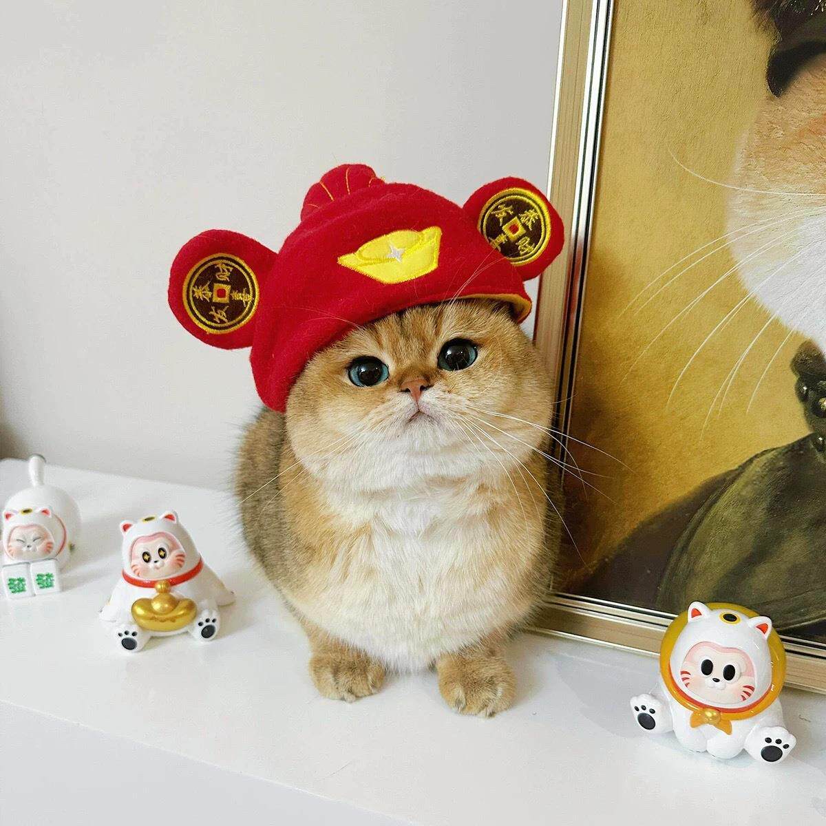 新年宠物财神爷帽子狗狗猫咪头套拜年喜庆元宝变装帽小型犬头饰