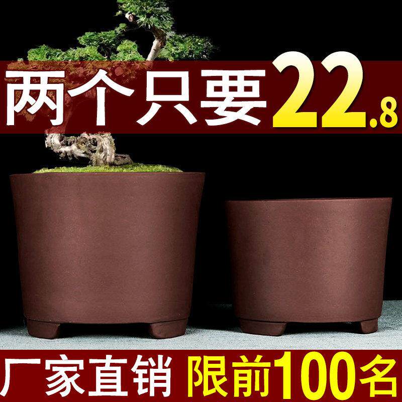直桶紫砂特大号花盆特价清仓绿植多肉君子兰花盆专用大号陶瓷桶盆