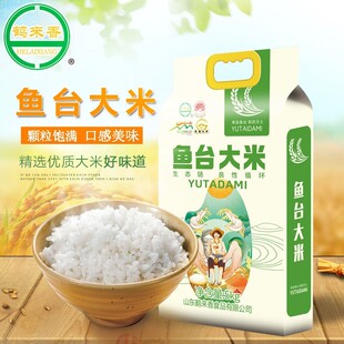鱼台大米5kg一袋源头粳米10斤真空新米农家香米珍珠粒OEM