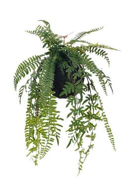 仿真绿植吊球吊挂吊盆情人泪铜钱草装饰阳台立体空间布置空中装饰