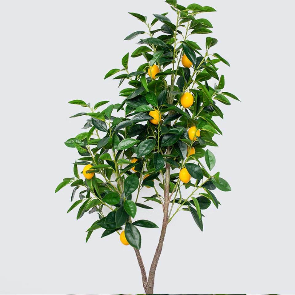型仿真植绿植盆01栽柠檬树真落地假盆栽仿花仿大真花摆件假绿果树
