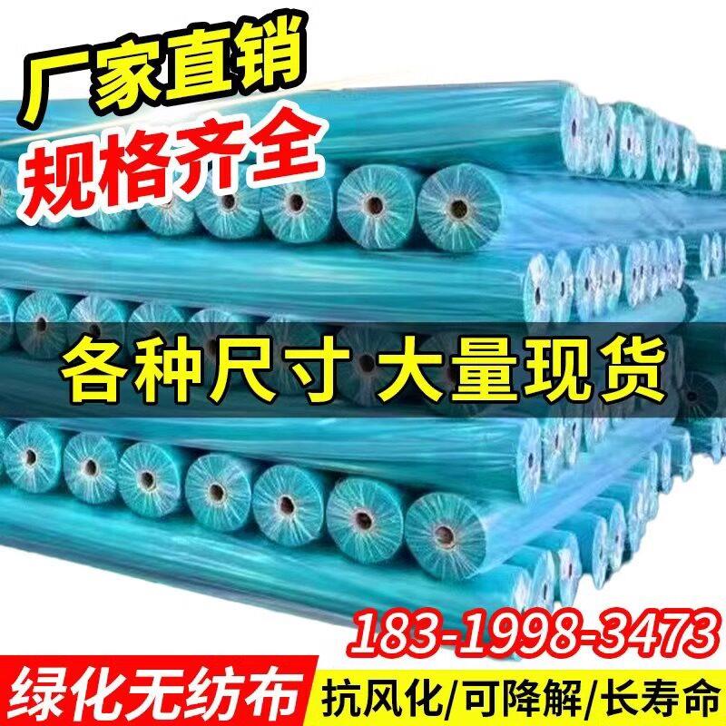 边坡绿化不织布植物防寒育苗种植布草坪草籽布绿色大卷透气膜工地