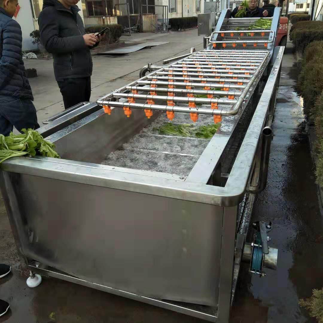 多功能蔬果气泡清洗机 草漂洗机 叶类蔬菜专用洗菜机现货供应