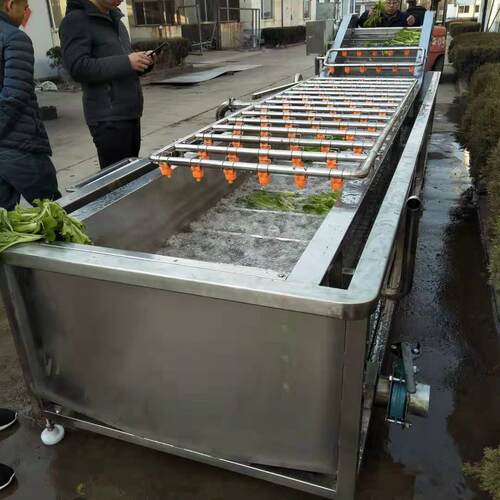 多功能蔬果气泡清洗机 草漂洗机 叶类蔬菜专用洗菜机现货供应